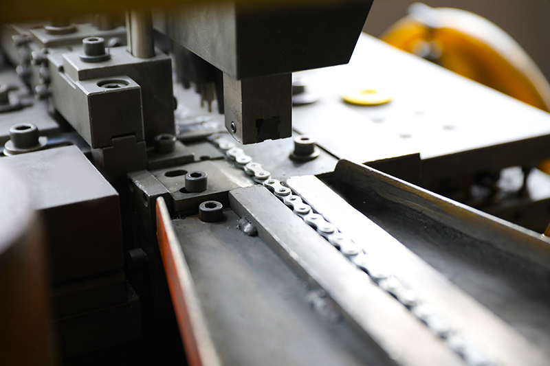 Wyposażenie roślin